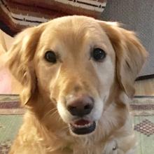 Finnigan 18-019