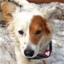 Sadie 19-030